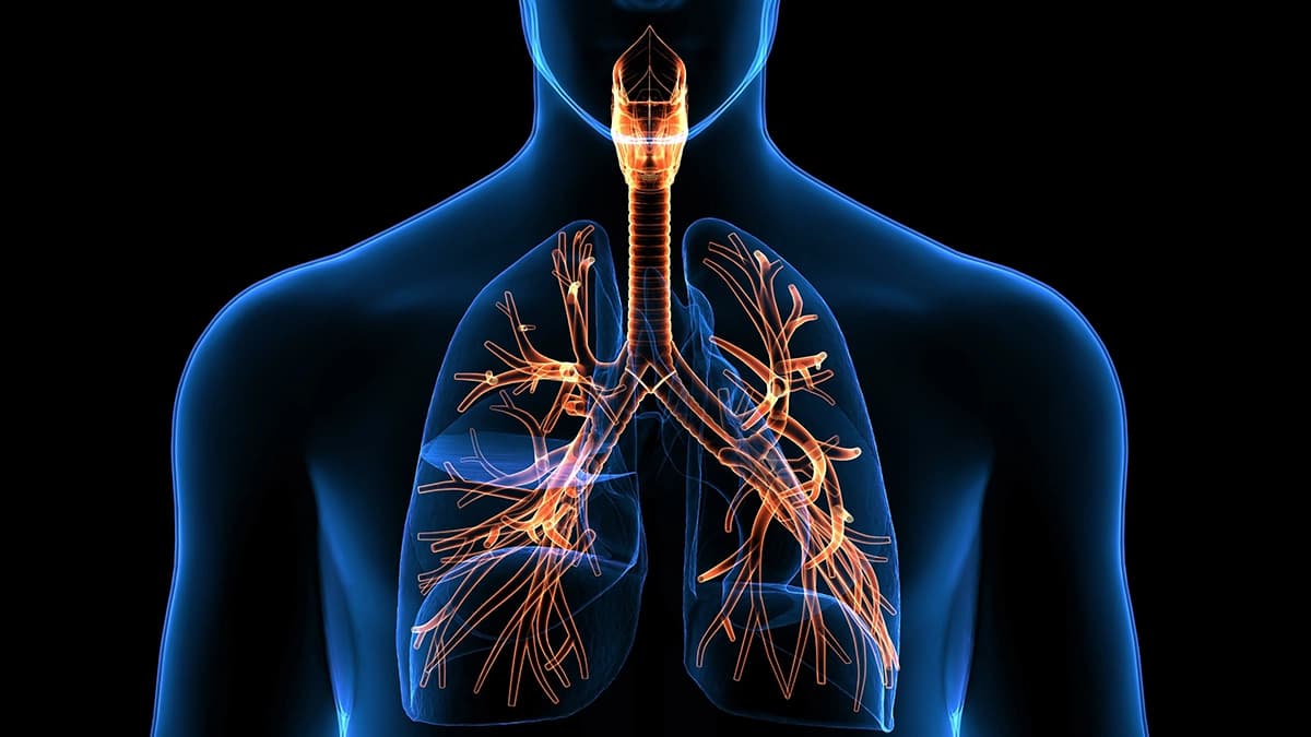 Boost Cardiovascular Health